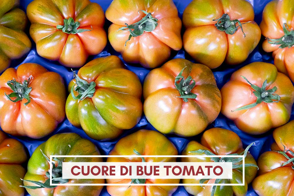 Cuore di bue Tomato